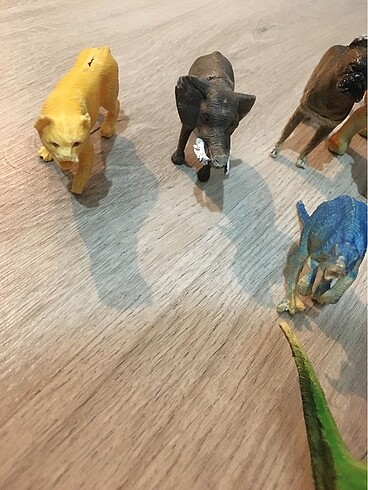 Beden Oyuncak hayvanlar