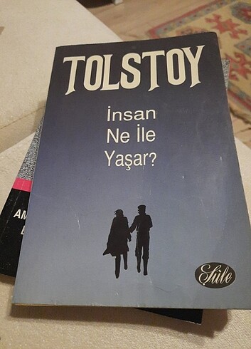 Tolstoy insan ne ile yasar