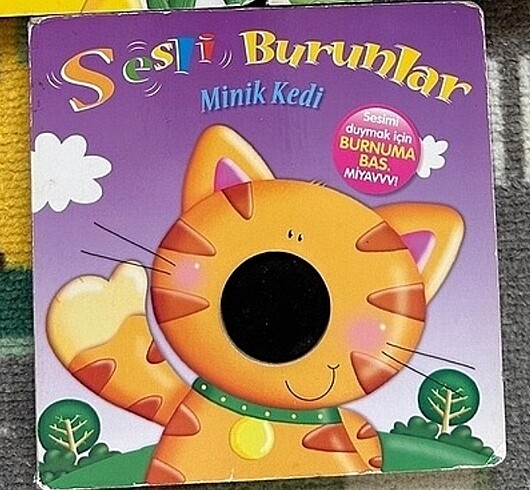Sesli Burunlar Çocuk Kitabı