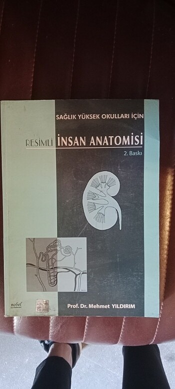 RESİMLİ İNSAN ANATOMİSİ