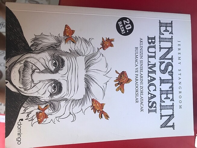 Einstein Bulmacaları