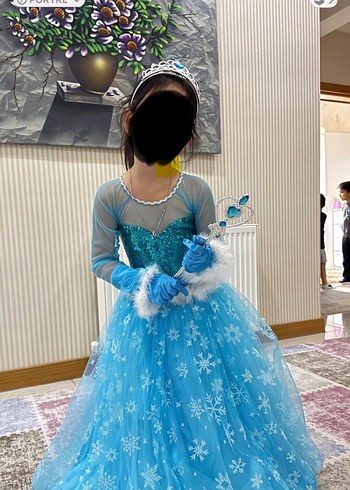 Barbie Buz Prensesi Kiz Cocuk Kostumu