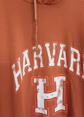 Kapüşonlu Kahverengi Harvard Sweatshirt - Görsel 2