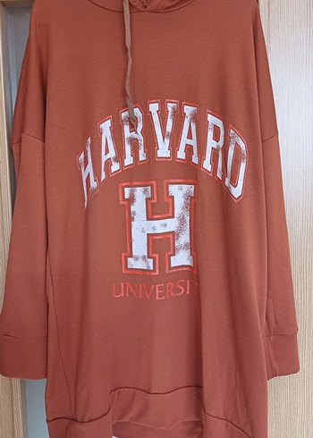 Kapüşonlu Kahverengi Harvard Sweatshirt - Görsel 3