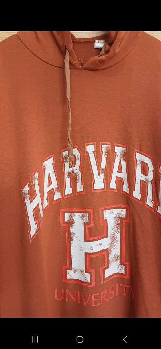 Kapüşonlu Kahverengi Harvard Sweatshirt - Görsel 2