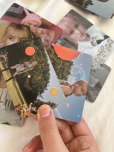 Beden Lily pc set