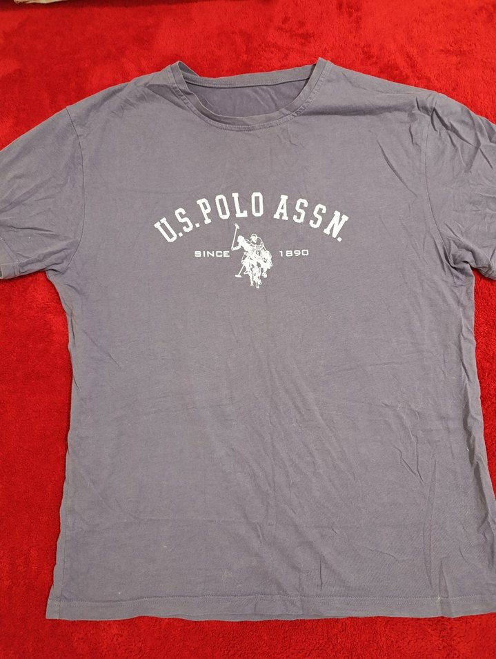 U.S. Polo Assn. Baskılı Kısa Kollu Tişört - Görsel 2