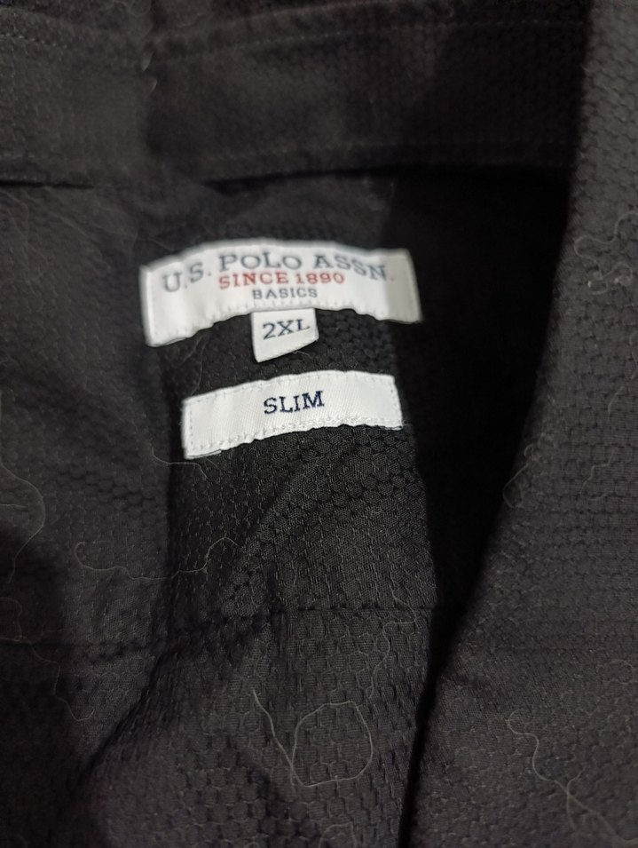 US Polo Erkek Gömlek - Görsel 2