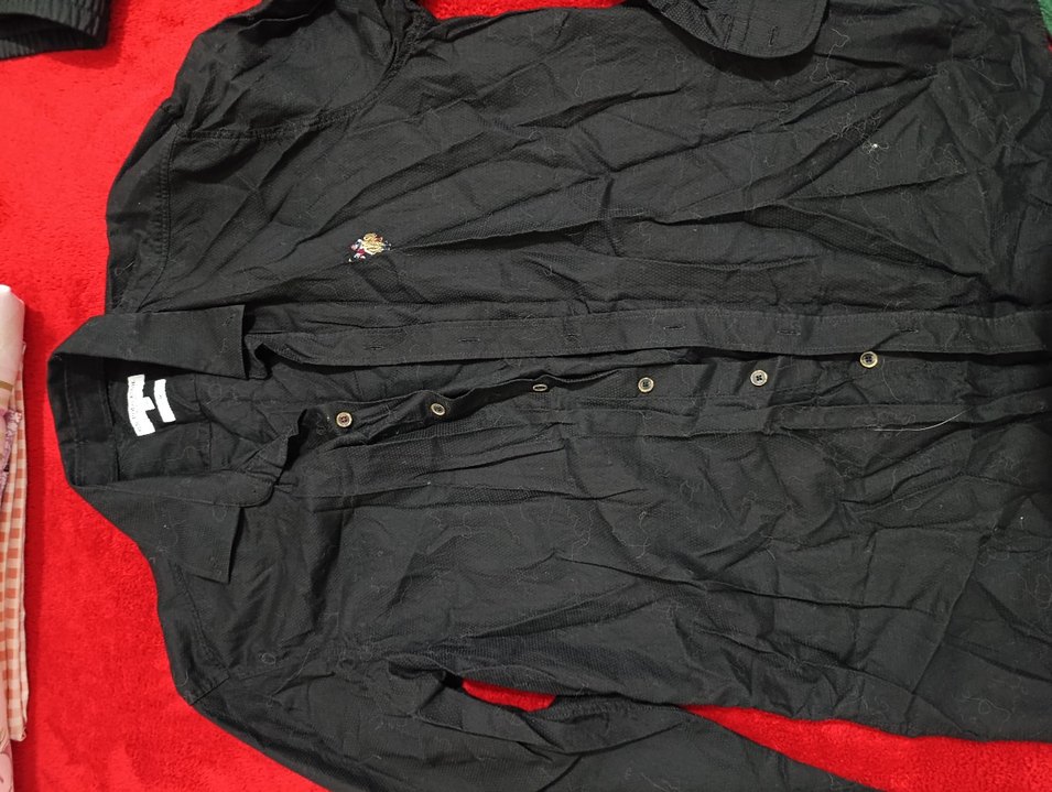 US Polo Erkek Gömlek - Görsel 3