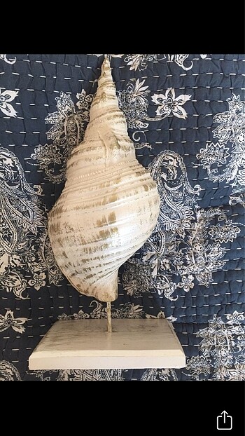 Beden STONE CONCH DECOR ITEM SEATTLE ART HAUSE