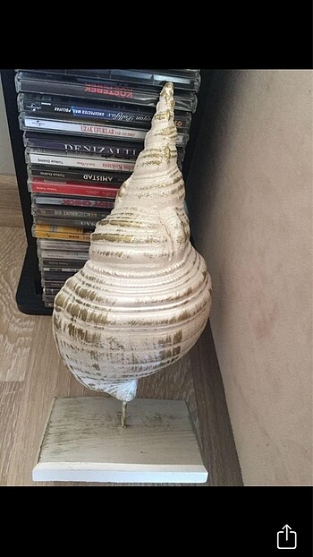 Beden beyaz Renk STONE CONCH DECOR ITEM SEATTLE ART HAUSE