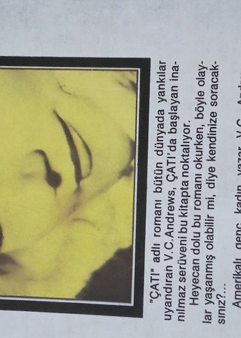 V.C. Andrews Çatılardaki Roman Seti - Görsel 4