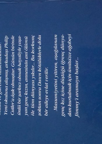 V.C. Andrews Çatılardaki Roman Seti - Görsel 3