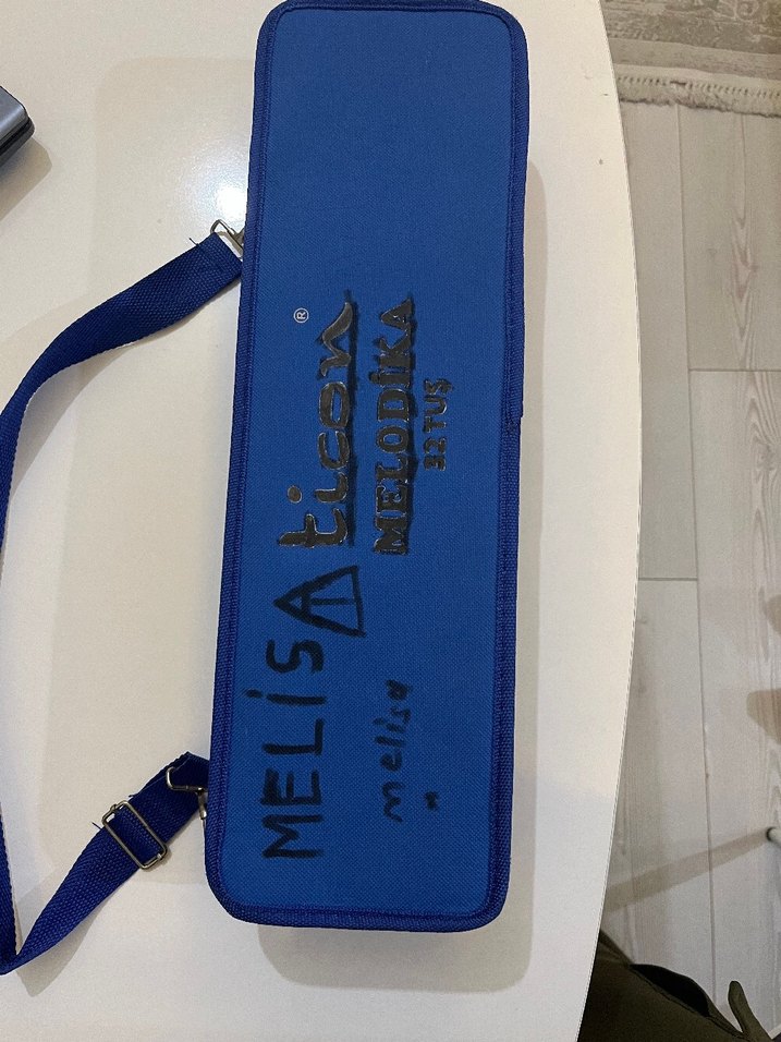 Pastel Mavi Melodika Kılıfıyla ticon - Görsel 2