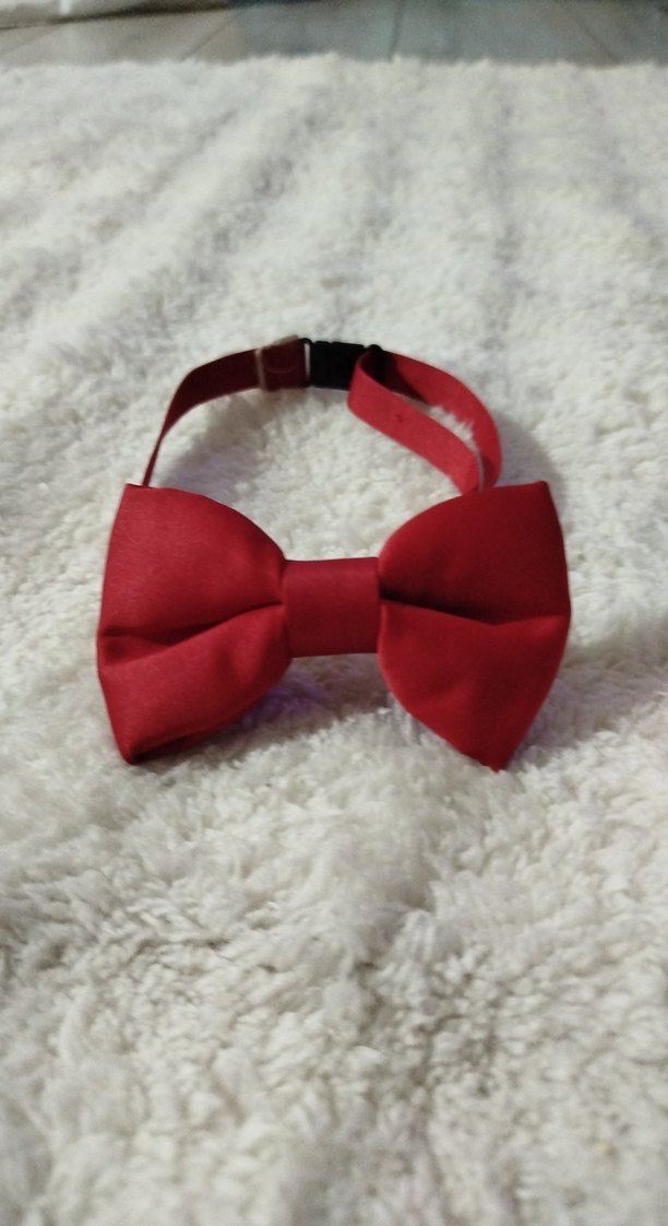 Kırmızı Çocuk Fiyonklu Papyon - Görsel 5