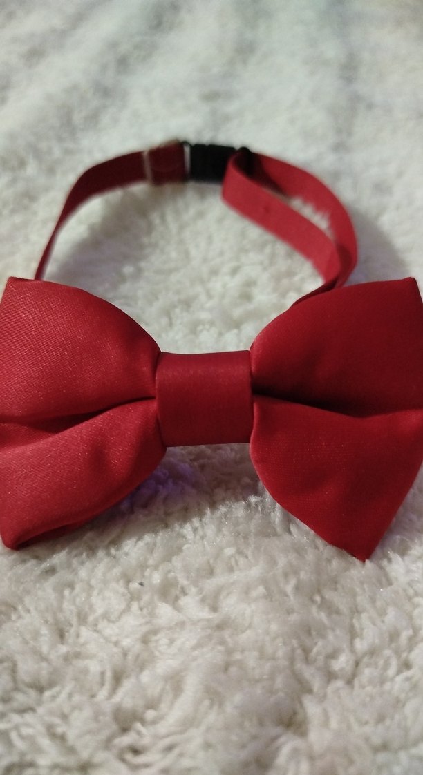 Kırmızı Çocuk Fiyonklu Papyon - Görsel 3