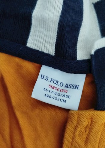 Erkek Sarı Düğmeli uzun Kollu Polo Tişört - Görsel 5