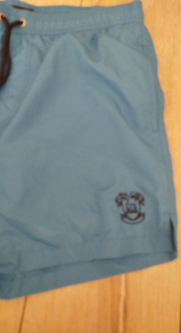 Erkek Mavi Mini Yüzme Şortu - Görsel 2