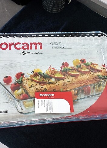 Paşabahçe borcam