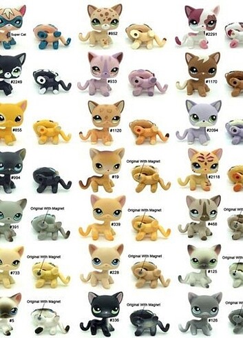 (ALMAYIN) shorthair lps miniş