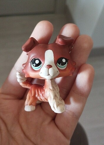 Collie lps orjinal miniş