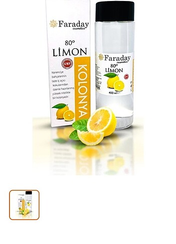  Limon kolonyası 