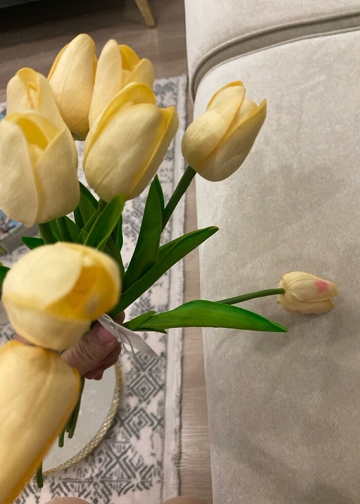 Lale sarı - Görsel 3