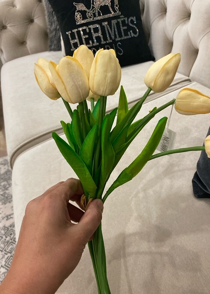 Lale sarı - Görsel 2