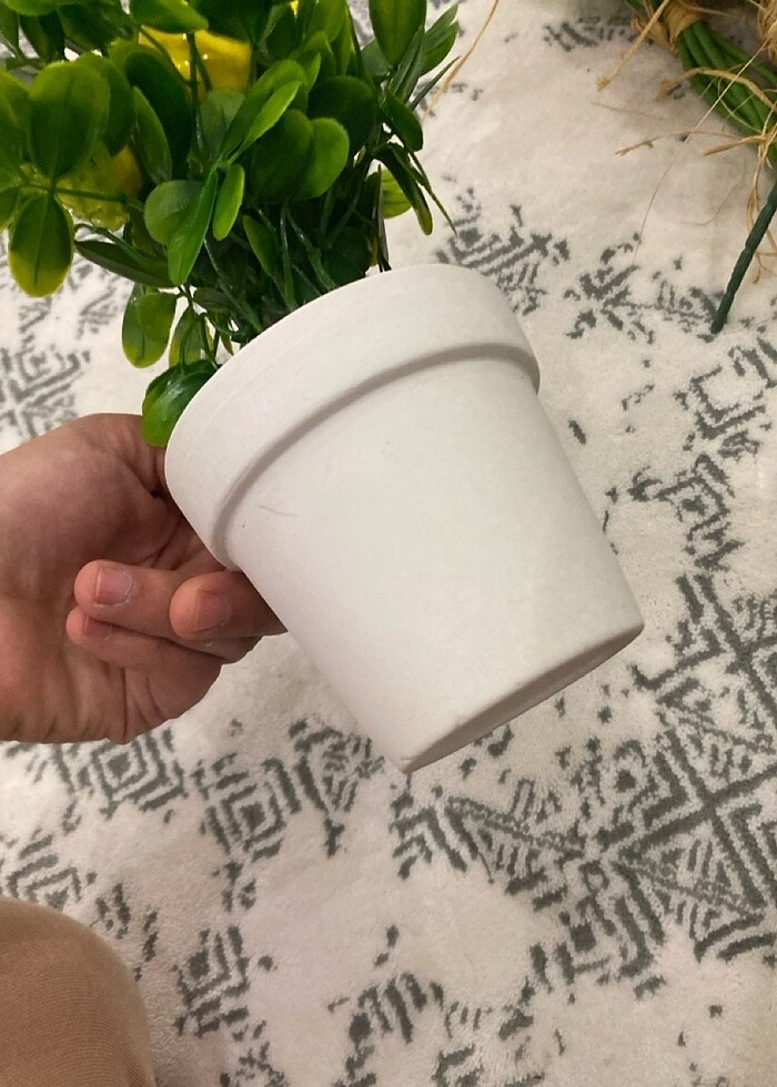 Limon ağacı - Görsel 3