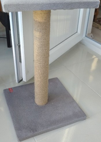 Gri Kedi Tırmalama Direği