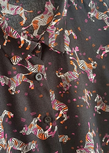 Çocuk, Zebra Desenli Gömlek - Görsel 2