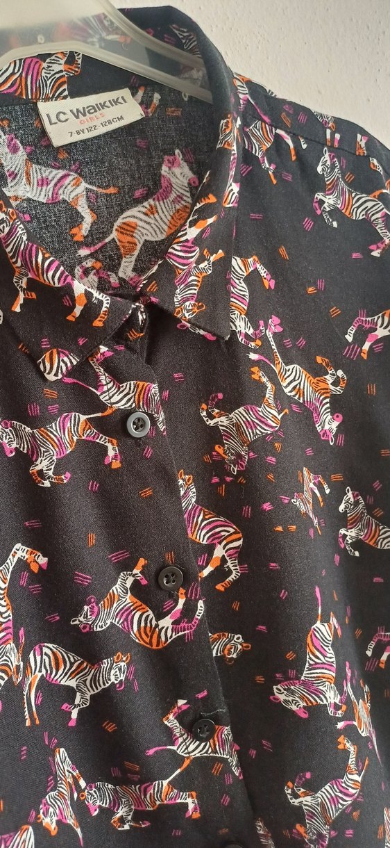 Çocuk, Zebra Desenli Gömlek - Görsel 2