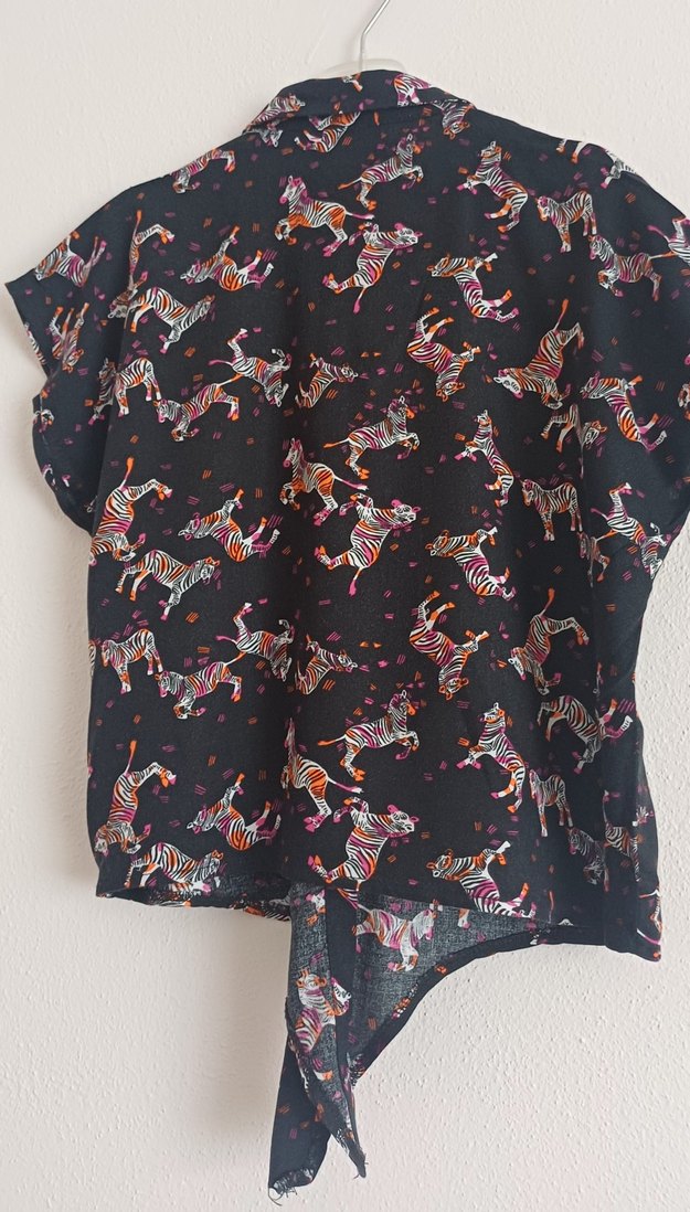 Çocuk, Zebra Desenli Gömlek - Görsel 3