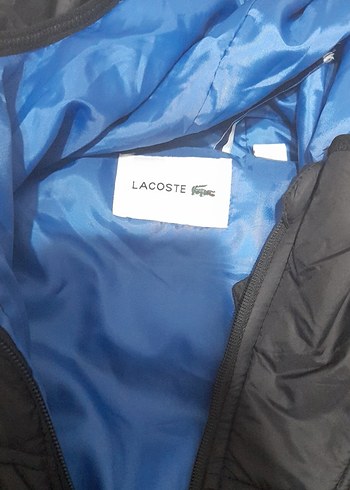 Lacoste Lacoste Siyah Kapitone Yelek