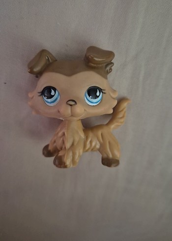 Nadir lps miniş