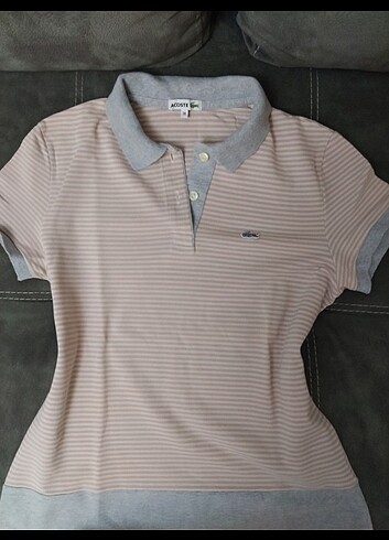 lacoste orjinal polo