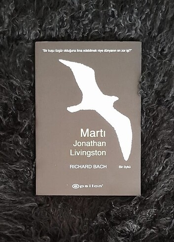 Martı Jonathan Livingston Kitap