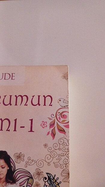  Pabucumun Ajanı
