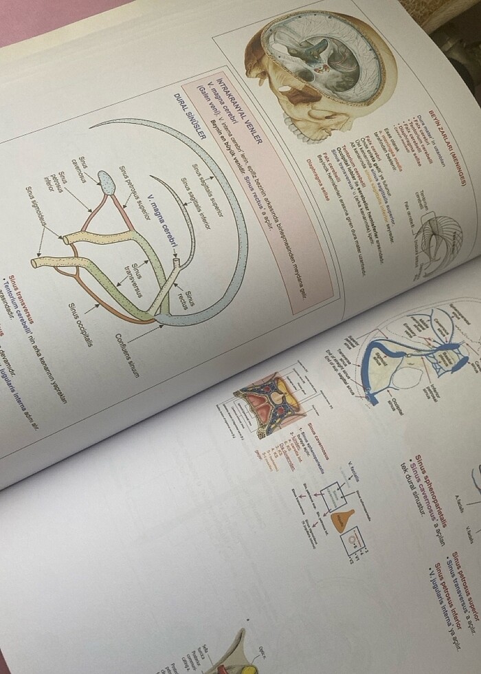 TUSTİME NÖROANATOMİ ŞEKİL ATLASI - Görsel 2
