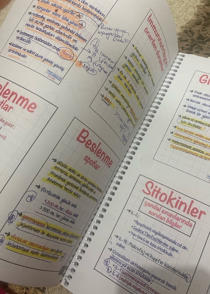 TUS ANALİZ GENEL CERRAHİ DERS NOTLARI - Görsel 2