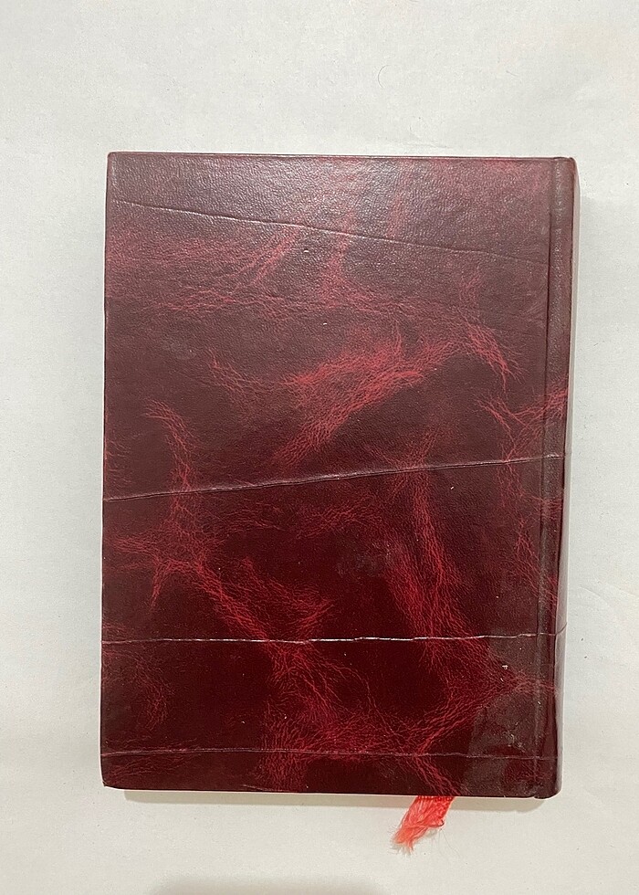 Türkçe Okul Sözlüğü (Deri Kapak) - Görsel 2