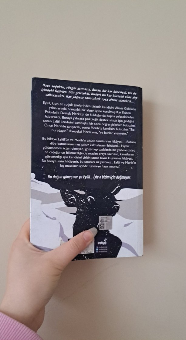 Kar Küresi - Beyza Alkoç - Görsel 2