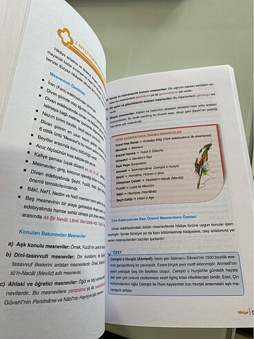 Beden Renk Yayın denizi edebiyat