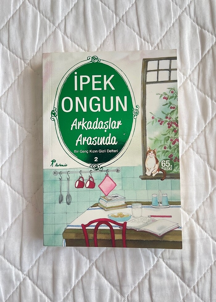 BİR GENÇ KIZIN GİZLİ DEFTERİ İLK 7 kitap - Görsel 5