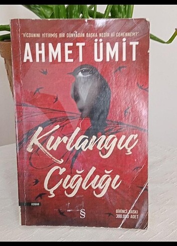 Kırlangıç çığlığı