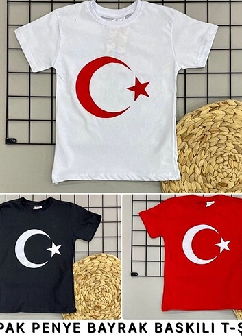 23 nisan Ayyıldız tişört