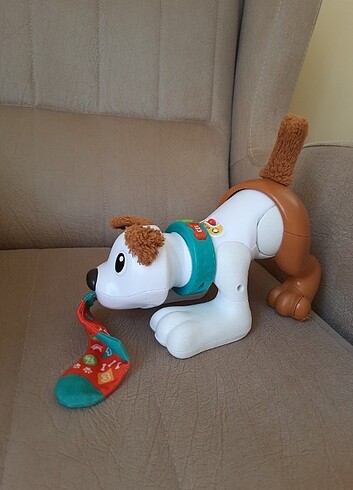 Beden Renk Emeklemeyi ve Saymayı Öğreten Köpekçik