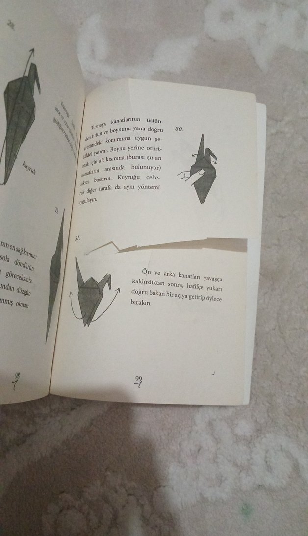 Sadako ve Kağıttan Bin Turna Kuşu - Eleanor Coerr - Görsel 3