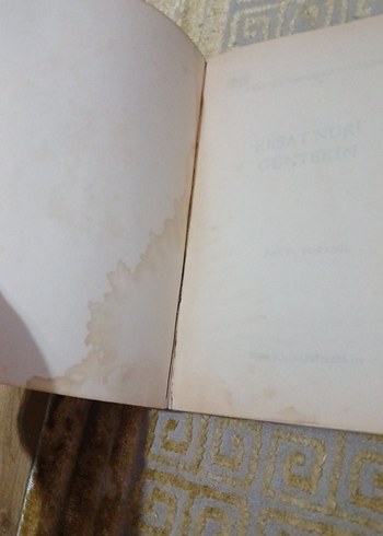 Beden Renk Reşat Nuri Güntekin - Türk Büyükleri Dizisi 114