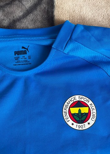 Puma Fenerbahçe Antrenman Sweatshirti - Görsel 2